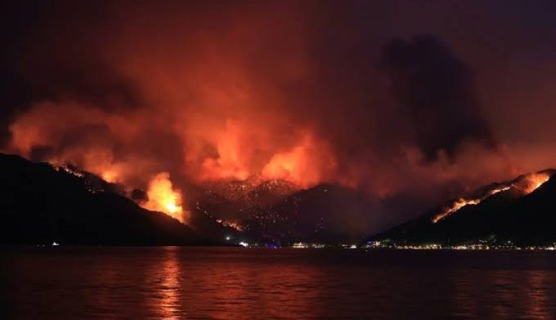 Read more about the article “روبوت” لإطفاء الحرائق بالمناطق الوعرة