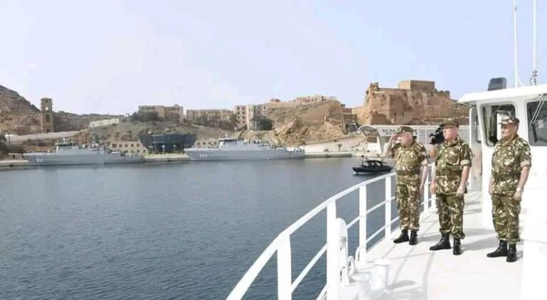 Read more about the article الفريق أول شنقريحة يشرف على تمرين بحري