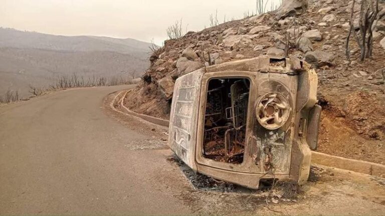 Read more about the article حرائق الغابات .. ارتفاع حصيلة الضحايا