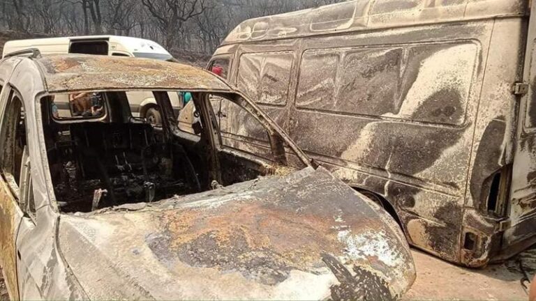 Read more about the article تسخير دور الشباب لاستقبال العائلات المتضررة