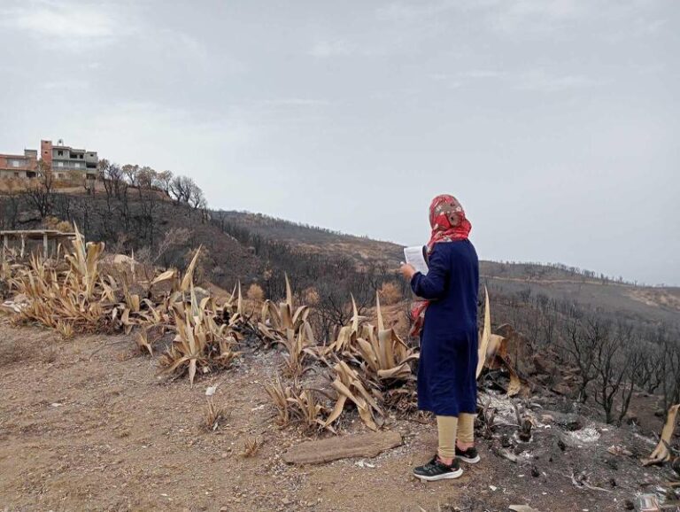 Read more about the article تواصل معاينة أضرار الحرائق وإحصاء المتضررين ببجاية