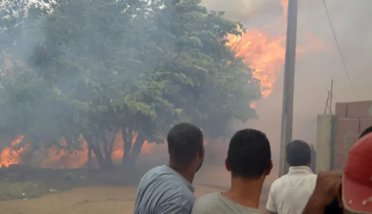 Read more about the article فتح تحقيقات قضائية حول مصدر الحرائق المندلعة في بجاية وجيجل