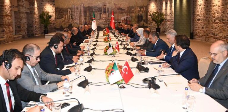 Read more about the article أهم ما جاء في المحادثات الجزائرية-التركية