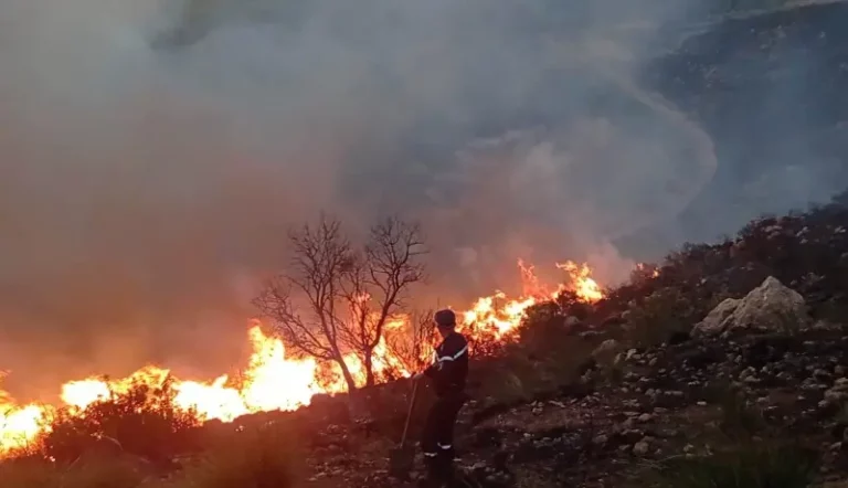 Read more about the article إخماد حريق التهم 2 هكتار من الأدغال والأحراش ببومرداس