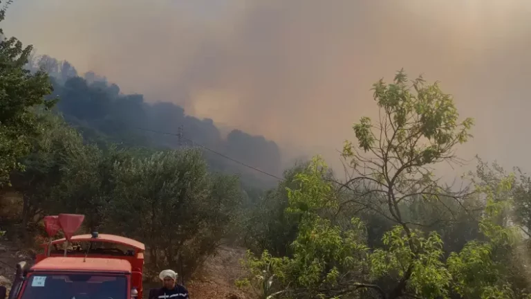 Read more about the article اندلاع حرائق بـ6 ولايات وعملية الإخماد متواصلة